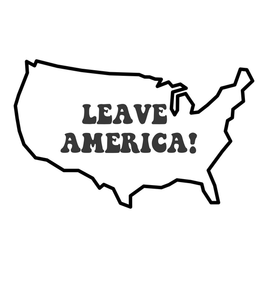 Harry inspired vinyl decal - Leave America